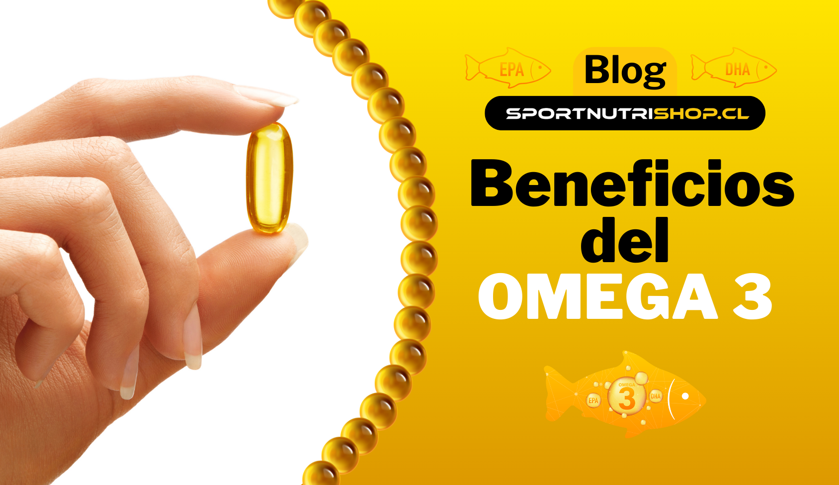 Beneficios Del Omega 3 – SportNutriShop